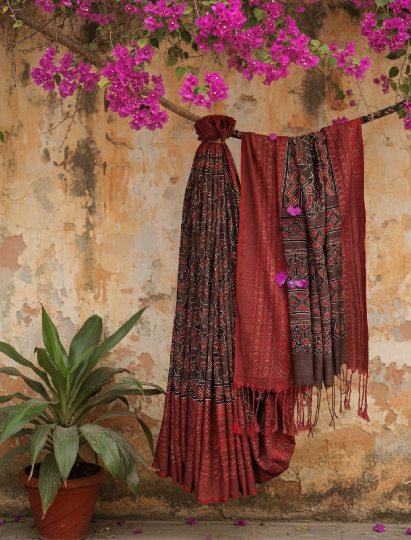 Brown and madder Ajrakh hand block printed cotton saree featuring a brown printed body with madder red borders, self-woven detailing and tassels made from the saree’s own fabric. Natural dyed, breathable, slow made saree handcrafted in Gujarat.