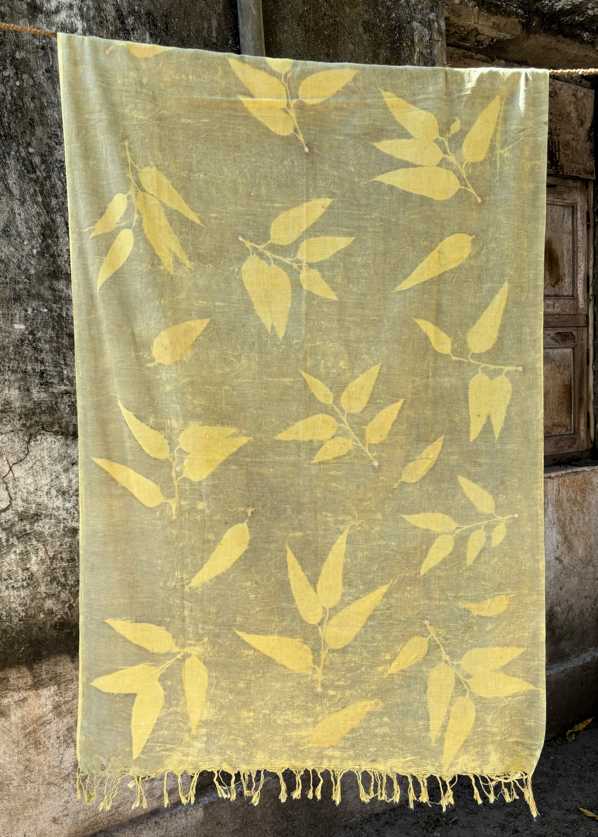 Naturally dyed eco printed handspun and handwoven cotton dupatta with botanical leaf prints and tassels